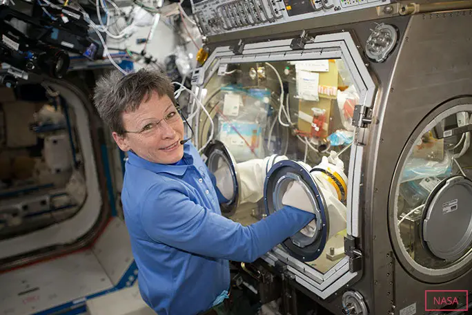 宇宙への最後の訪問時にDestiny US LaboratoryのMicrogravity Sciences Gloveboxで作業するウィットソン