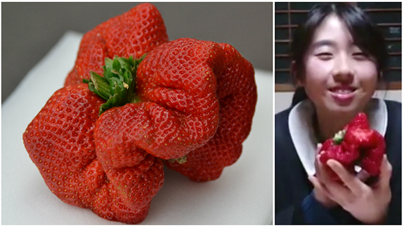 strawberryandgirl
