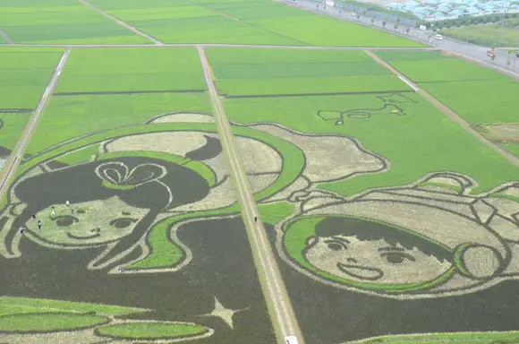 行田市、世界一へ!!｢世界最大の田んぼアート(Largest rice field mosaic)｣｜ギネス世界記録 町おこしスペシャル・インタビュー