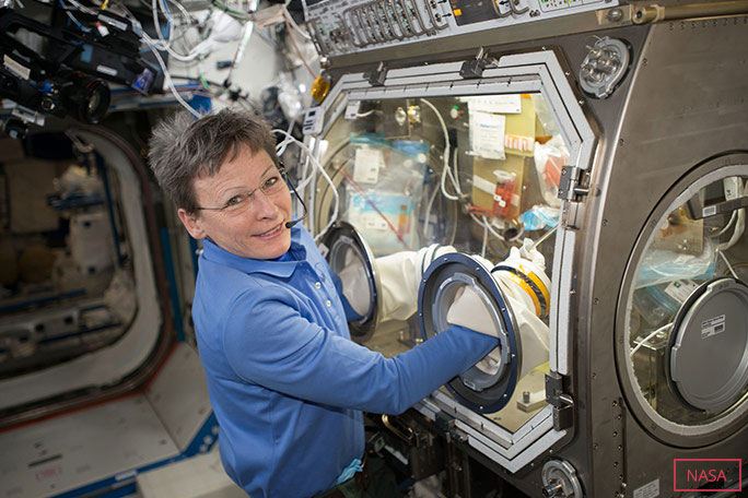 宇宙への最後の訪問時にDestiny US LaboratoryのMicrogravity Sciences Gloveboxで作業するウィットソン
