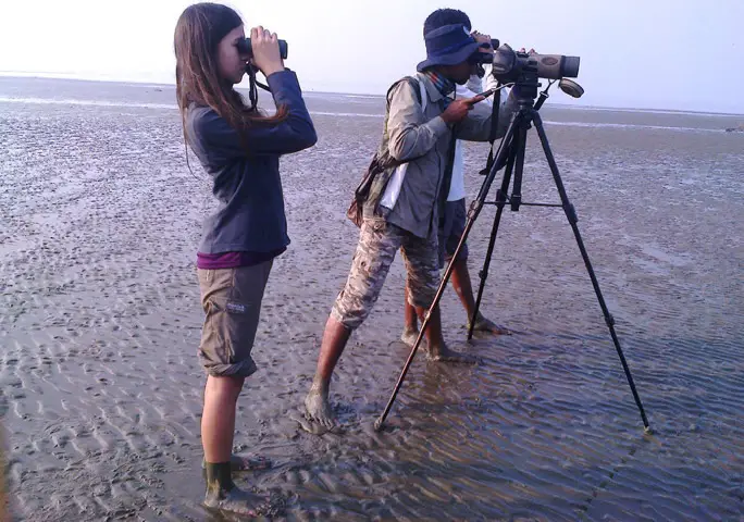 絶滅危惧種のヘラシギの調査にて、2015年バングラデシュ