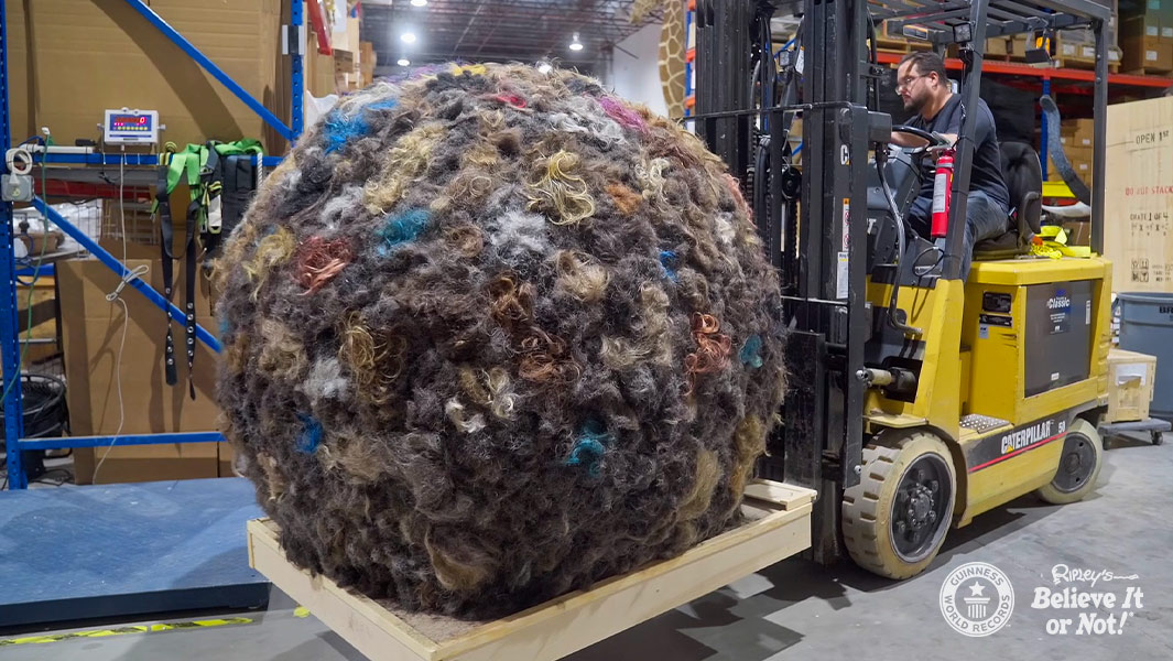 重さ102キロの「人間の髪でできたボール」がギネス世界記録に認定