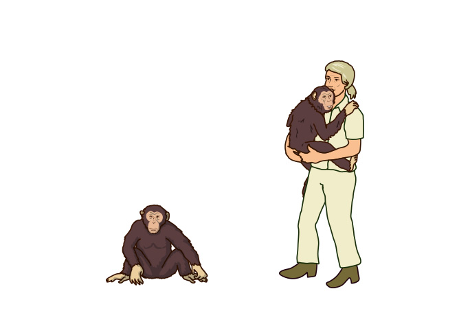 illustration-of-jane-goodall-with-chimps