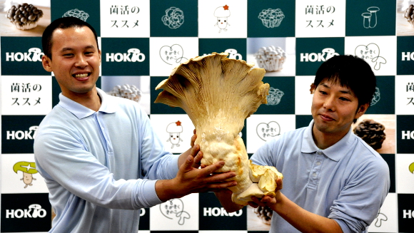 /ediblemushroom01.jpg