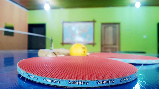 ping-pong-443566