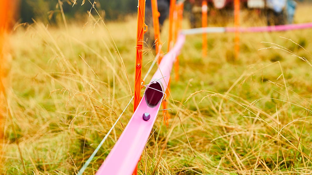 Longest marble run header