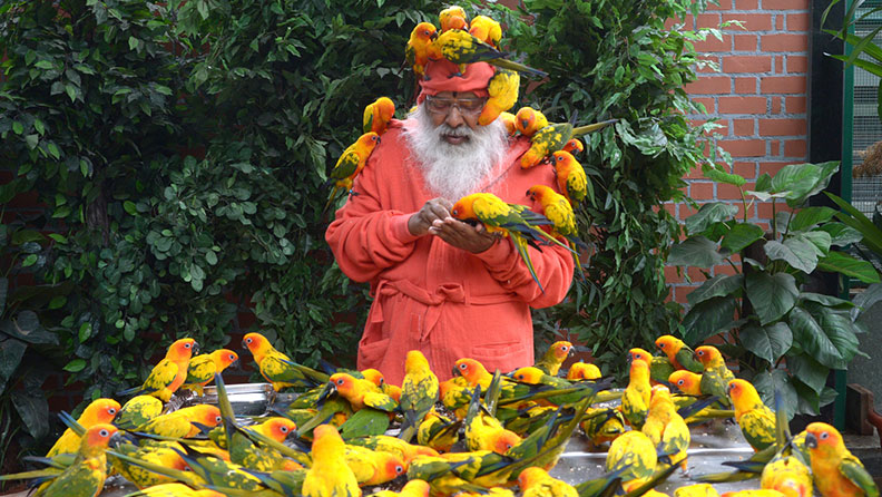 Most bird species in an aviary header