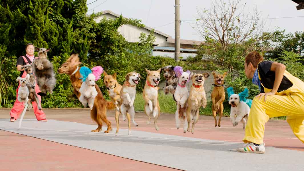 縄跳びわんこ”でおなじみの「スーパーわんわん大サーカス」が持つ