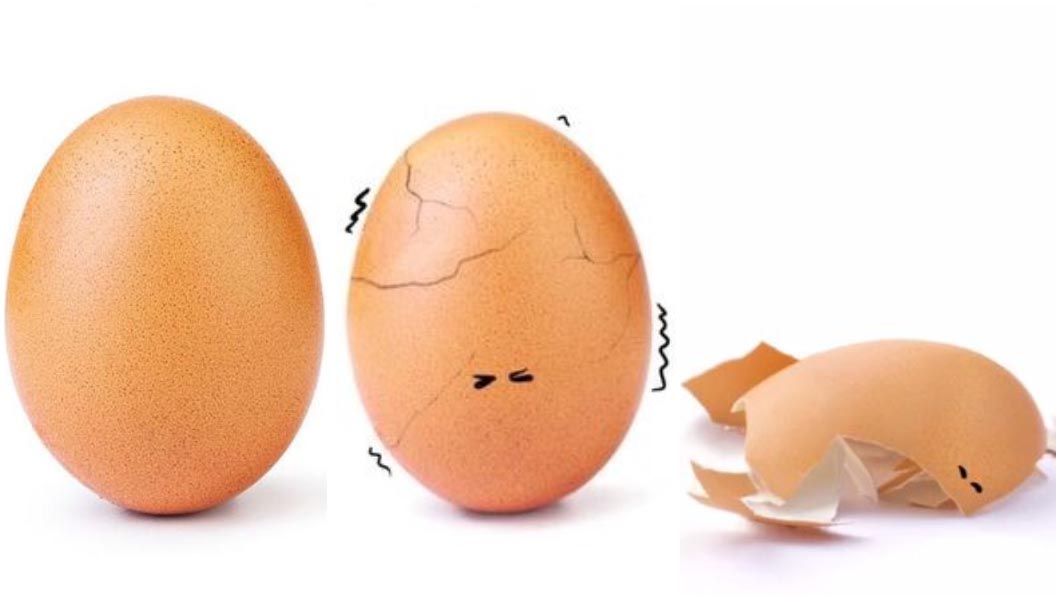 world_record_egg_in_the_process_of_cracking.jpg