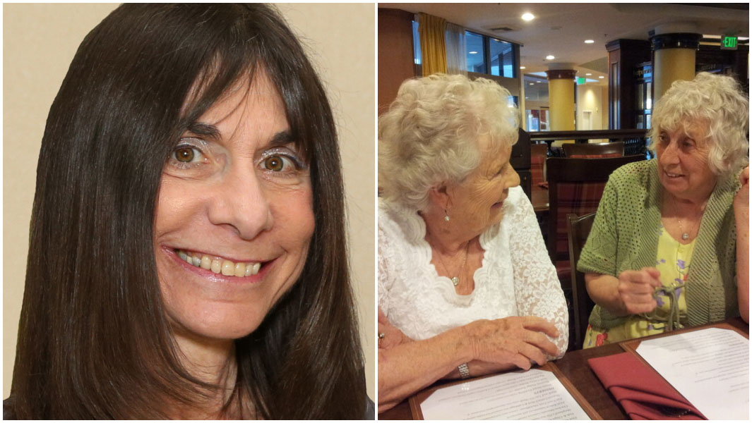 dr nancy segal split