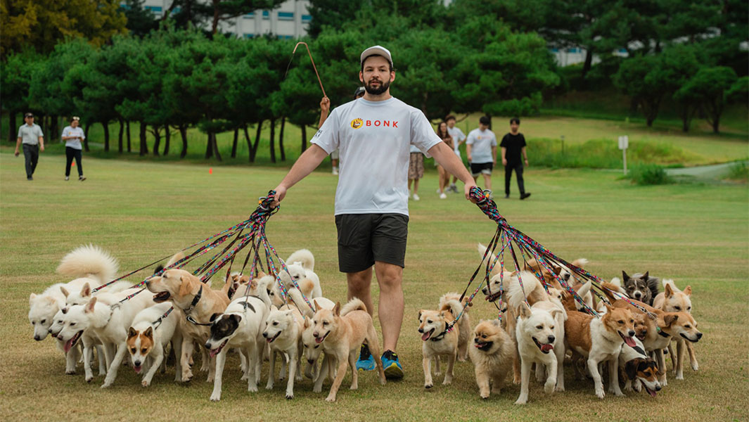 多くの犬と散歩をするミッチェル・ルディさん