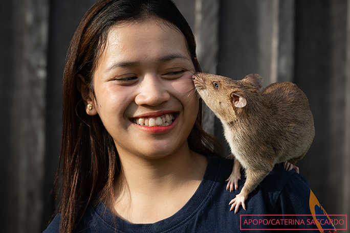 ronin-hangs-out-with-one-of-the-apopo-handlers-in-cambodia-while-off-duty