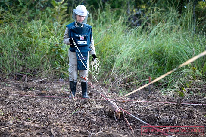 Ronin-the-african-giant-pouched-rat-with-APOPO-handler-searching-for-landmines-in-cambodia