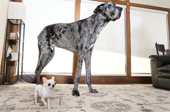 Pearl and Reggie inside