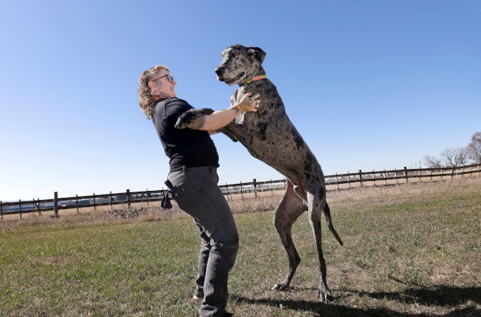 Reggie jumping on Sam