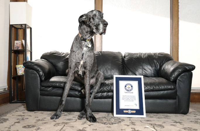 Reggie with his GWR certificate