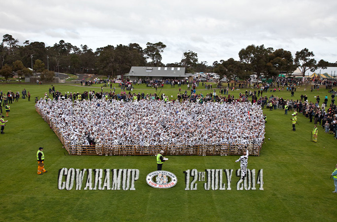 lots of people dressed as cows in a pen