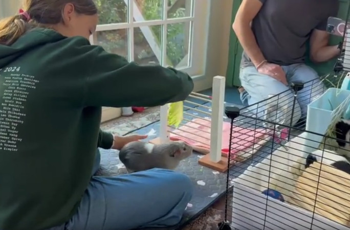 Zoe holding out lettuce before the jump