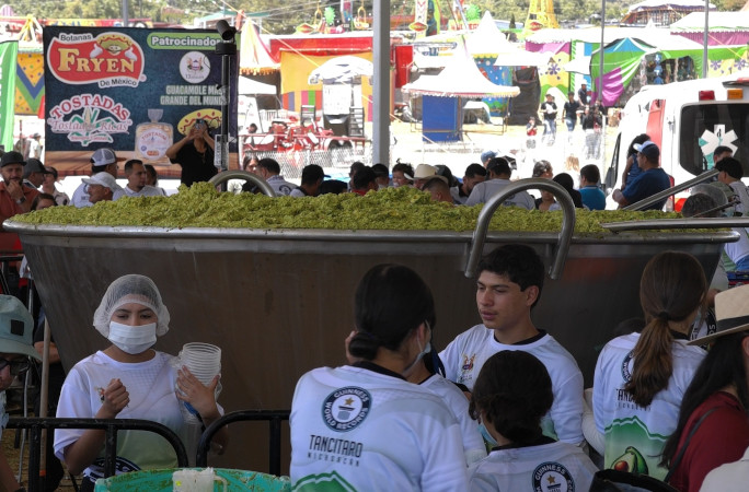 Side view of the largest guacamole