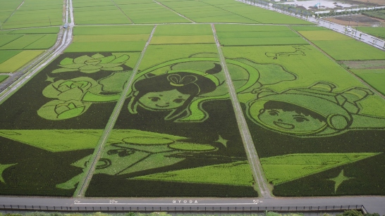 largest rice field mosaic