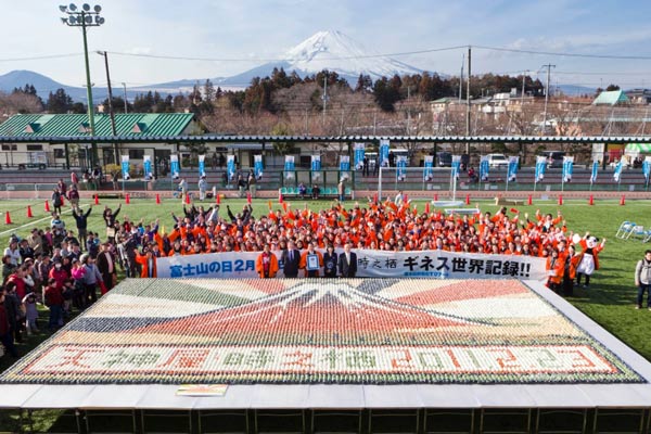 Largest rice ball mosaic